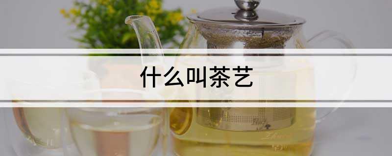 k1体育app什么叫茶艺(图1)