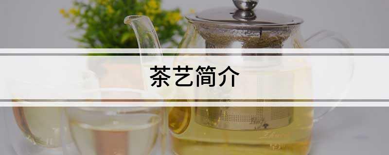 k1体育ak1体育平台pp茶艺简介(图1)